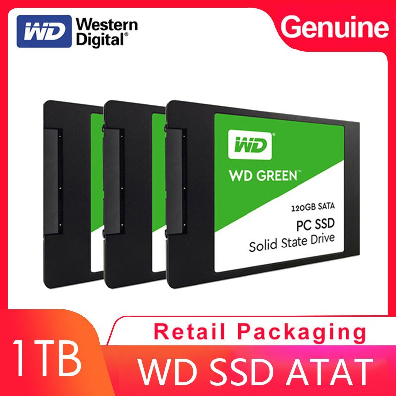 ž    WD SSD ׸ PC 240GB,  ..